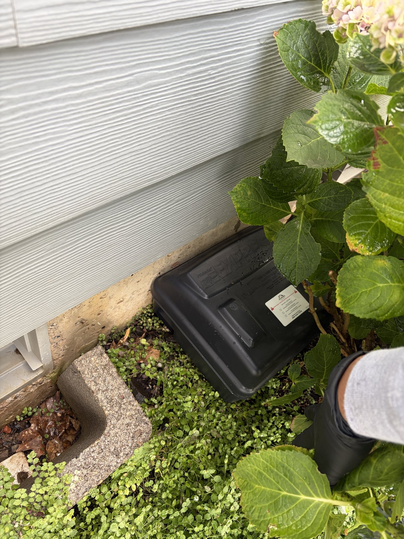 Tamper-resistant exterior rodent monitoring station beside a home foundation