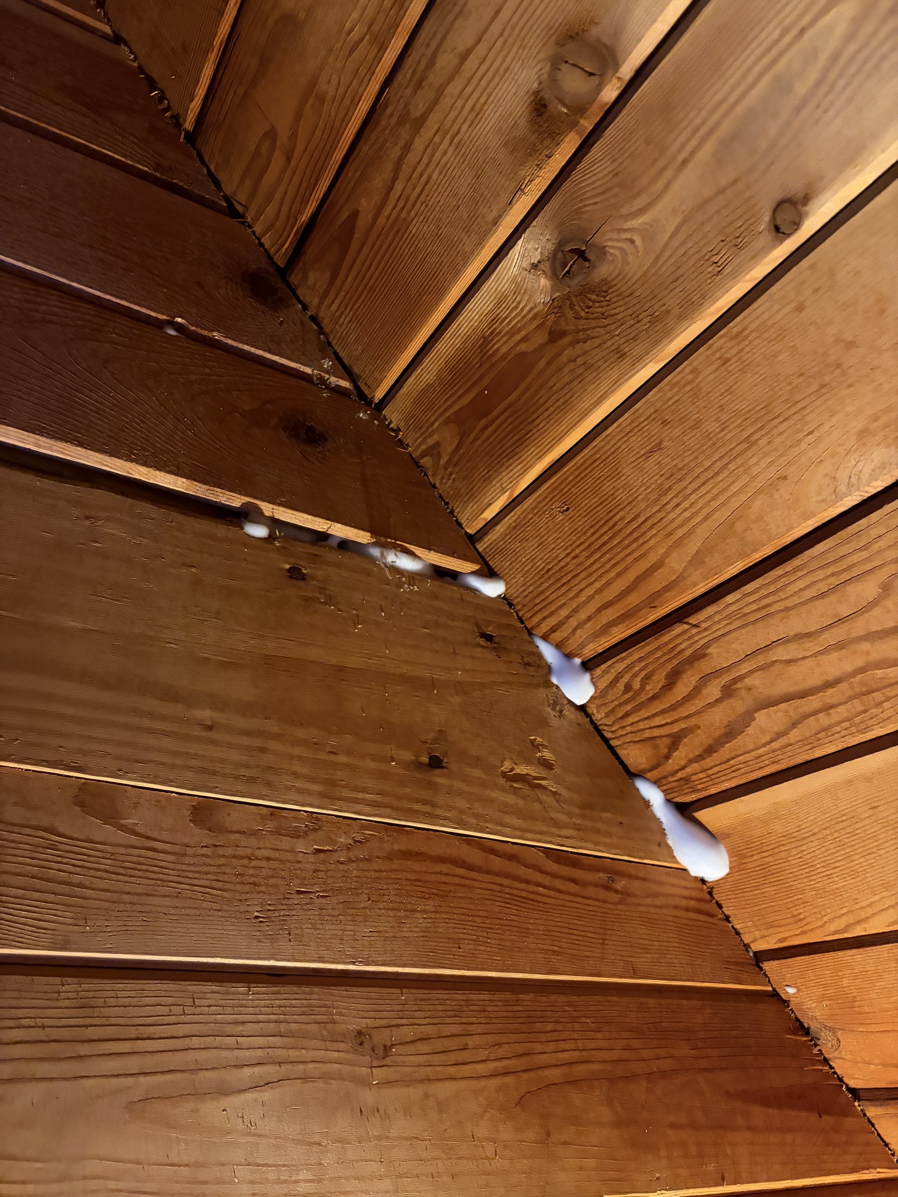 Targeted ant treatment near a wood void