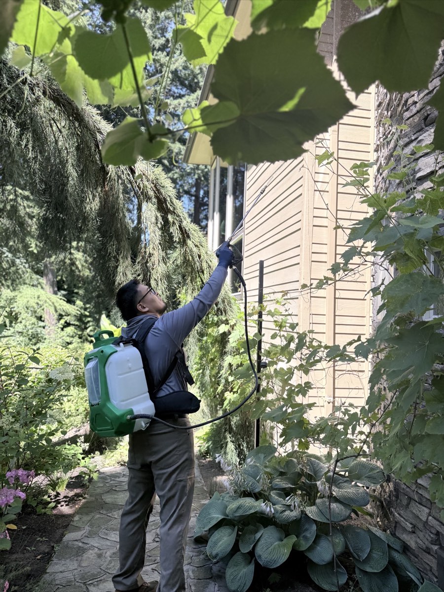 Affordable Pest Pros technician applying a targeted exterior treatment beside a home